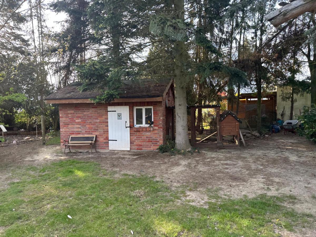 Apartament Linas Wohlfuehloase Hameln Hessisch Oldendorf Zewnętrze zdjęcie